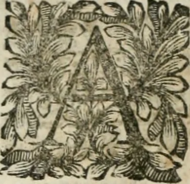 An illustration from Della historia d'Italia. Libri xlvi. Riv. dal medesimo autore, accresciuta e continuata, dall'anno 1625. sino al 1679, 1680, leaf 811