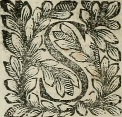 An illustration from Della historia d'Italia. Libri xlvi. Riv. dal medesimo autore, accresciuta e continuata, dall'anno 1625. sino al 1679, 1680, leaf 87