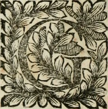 An illustration from Della historia d'Italia. Libri xlvi. Riv. dal medesimo autore, accresciuta e continuata, dall'anno 1625. sino al 1679, 1680, leaf 903