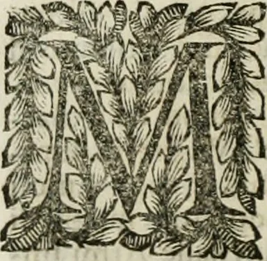 An illustration from Della historia d'Italia. Libri xlvi. Riv. dal medesimo autore, accresciuta e continuata, dall'anno 1625. sino al 1679, 1680, leaf 983