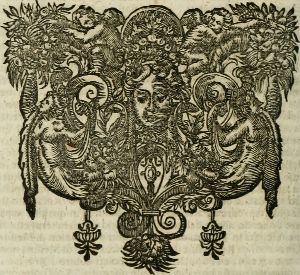 An illustration from Della historia d'Italia. Libri xlvi. Riv. dal medesimo autore, accresciuta e continuata, dall'anno 1625. sino al 1679, 1680, leaf 989