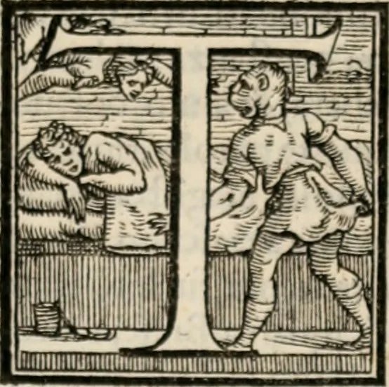 An illustration from Della historia vinitiana di M. Pietro Bembo card. volgarmente scritta. Libri XII, 1552, leaf 250