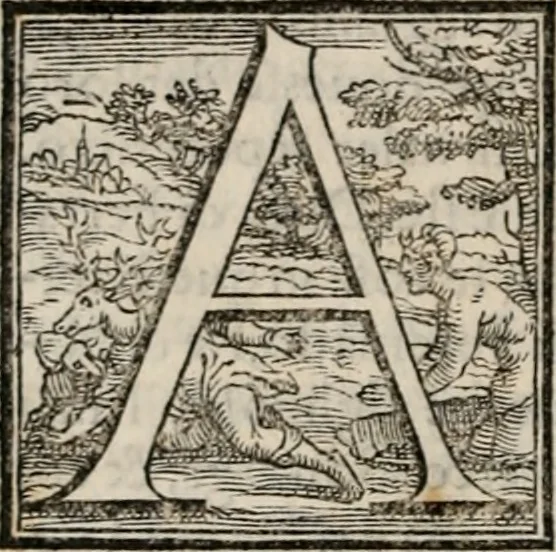 An illustration from Della historia vinitiana di M. Pietro Bembo card. volgarmente scritta. Libri XII, 1552, leaf 59