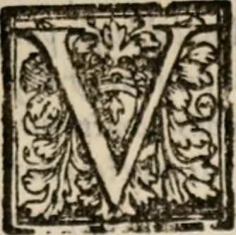An illustration from Della historia vinitiana di M. Pietro Bembo card. volgarmente scritta. Libri XII, 1552, leaf 6