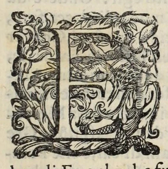 An illustration from Della Libraria vaticana ragionamenti, 1590, leaf 15