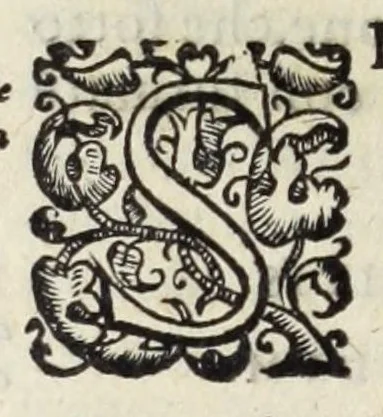An illustration from Della Libraria vaticana ragionamenti, 1590, leaf 228