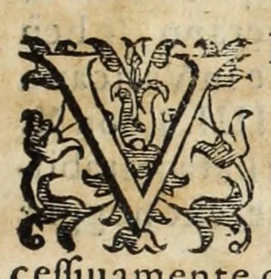 An illustration from Della Libraria vaticana ragionamenti, 1590, leaf 261