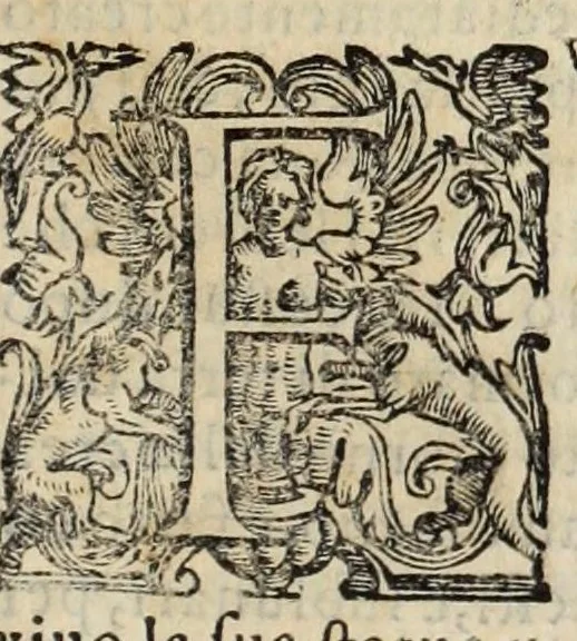 An illustration from Della Libraria vaticana ragionamenti, 1590, leaf 263