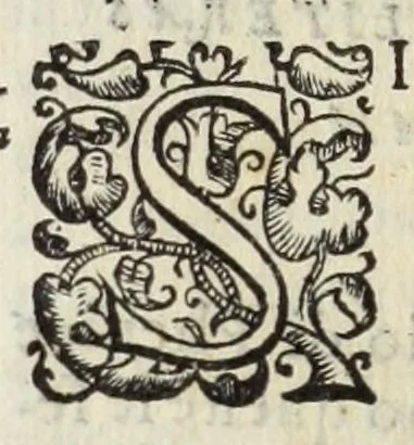 An illustration from Della Libraria vaticana ragionamenti, 1590, leaf 294