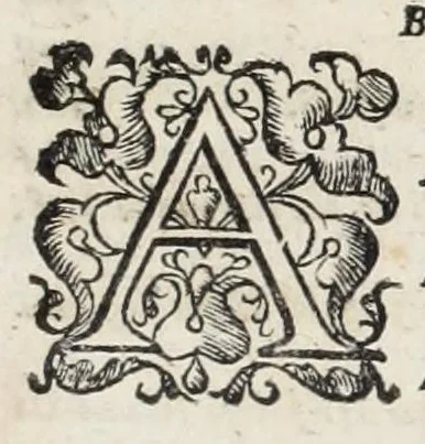 An illustration from Della Libraria vaticana ragionamenti, 1590, leaf 351