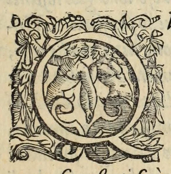 An illustration from Della Libraria vaticana ragionamenti, 1590, leaf 9