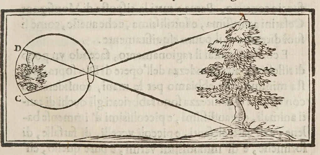 An illustration from Della misvra dell'acqve correnti, 1660, leaf 249