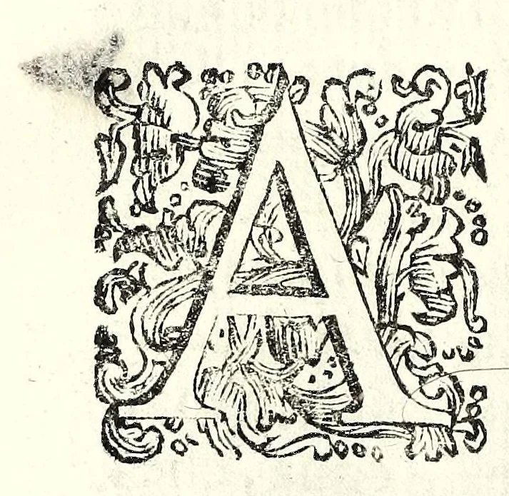 An illustration from Della natura de' fiumi : trattato fisico-matematico, 1697, leaf 106