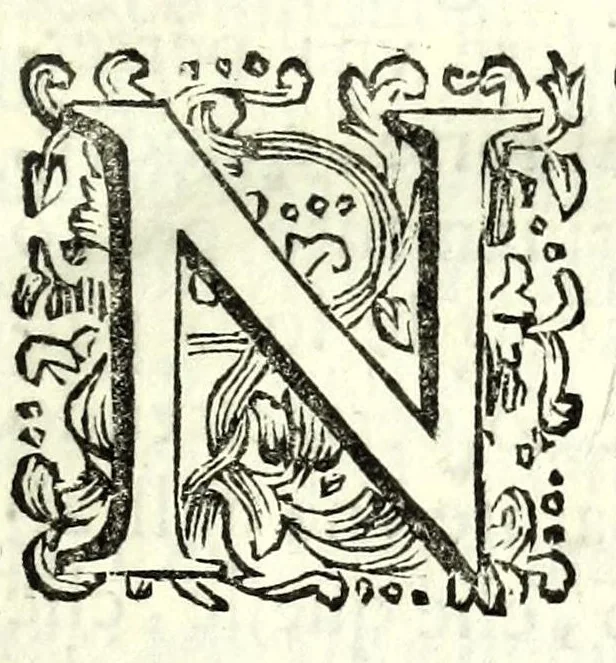 An illustration from Della natura de' fiumi : trattato fisico-matematico, 1697, leaf 19