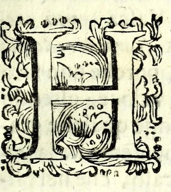 An illustration from Della natura de' fiumi : trattato fisico-matematico, 1697, leaf 215