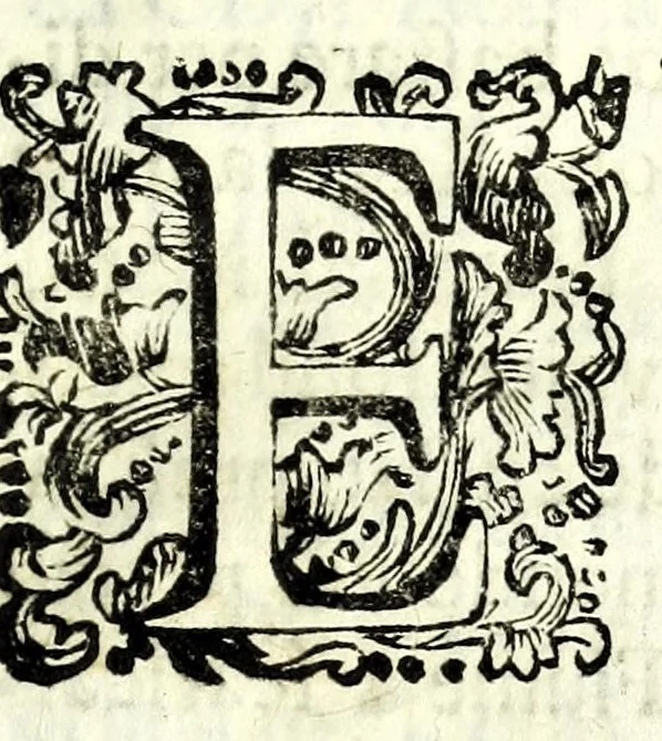 An illustration from Della natura de' fiumi : trattato fisico-matematico, 1697, leaf 269