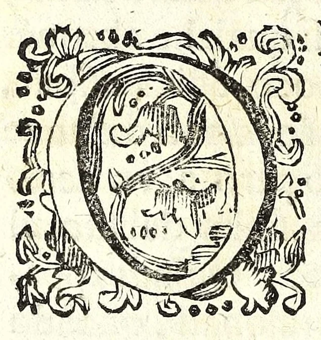 An illustration from Della natura de' fiumi : trattato fisico-matematico, 1697, leaf 314