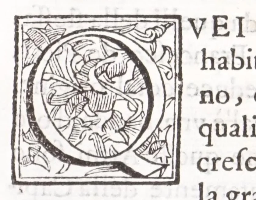 An illustration from Della nobile & antica famiglia de' Capizucchi, baroni romani : diramata da vn medesimo stipite con quella de' conti di Tun, prosapia grande e famosa della Germania, 1668, leaf 15