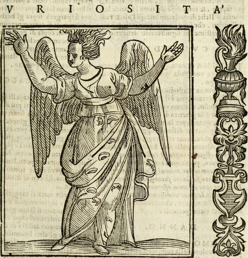 An illustration from Della nouissima Iconologia di Cesare Ripa Perugino Caualier de SS. Mauritio & Lazzaro : parte prima [-terza] : nella quale si descriuono diuerse imagini di virtu, vitij, affetti, passioni humane, arti, discipline, humori, elementi, corpi celesti, prouincie d'Italia, fiumi tutte parte del mondo, & altre infinite materie : opera utile ad oratori, predicatori, poeti, pittori, scultori, disegnatori, & ad'ogni studioso : per inuentar concetti, emblemi, ed'imprese, per diuisare qual si voglia apparato nutiale, funerale, trionsale : per rappresentar poemi drammatici, e per figurare co' suoi proprij simboli ciò che può cadere in pensiero humano : ampliata in quest' ultima editione non solo dallostesso auttore di trecento e cinquantadue imagini con molti discorsi pieni di varia eruditione & con molti indici copiosi, 1625, leaf 210