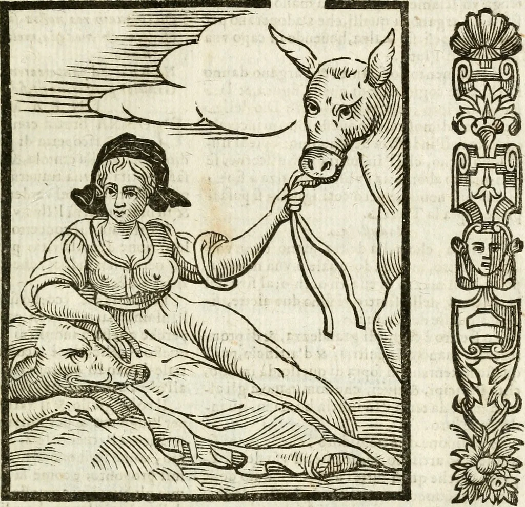 An illustration from Della nouissima Iconologia di Cesare Ripa Perugino Caualier de SS. Mauritio & Lazzaro : parte prima [-terza] : nella quale si descriuono diuerse imagini di virtu, vitij, affetti, passioni humane, arti, discipline, humori, elementi, corpi celesti, prouincie d'Italia, fiumi tutte parte del mondo, & altre infinite materie : opera utile ad oratori, predicatori, poeti, pittori, scultori, disegnatori, & ad'ogni studioso : per inuentar concetti, emblemi, ed'imprese, per diuisare qual si voglia apparato nutiale, funerale, trionsale : per rappresentar poemi drammatici, e per figurare co' suoi proprij simboli ciò che può cadere in pensiero humano : ampliata in quest' ultima editione non solo dallostesso auttore di trecento e cinquantadue imagini con molti discorsi pieni di varia eruditione & con molti indici copiosi, 1625, leaf 382