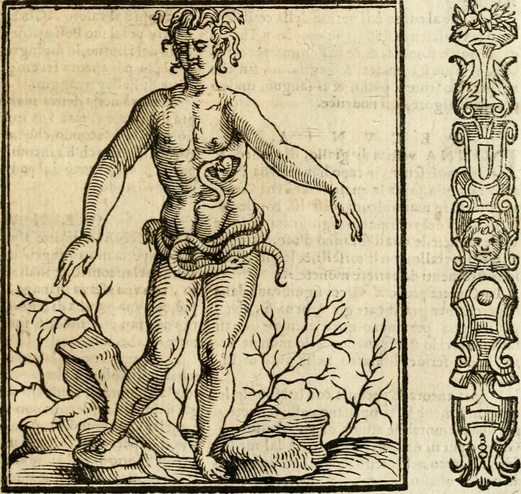 An illustration from Della nouissima Iconologia di Cesare Ripa Perugino Caualier de SS. Mauritio & Lazzaro : parte prima [-terza] : nella quale si descriuono diuerse imagini di virtu, vitij, affetti, passioni humane, arti, discipline, humori, elementi, corpi celesti, prouincie d'Italia, fiumi tutte parte del mondo, & altre infinite materie : opera utile ad oratori, predicatori, poeti, pittori, scultori, disegnatori, & ad'ogni studioso : per inuentar concetti, emblemi, ed'imprese, per diuisare qual si voglia apparato nutiale, funerale, trionsale : per rappresentar poemi drammatici, e per figurare co' suoi proprij simboli ciò che può cadere in pensiero humano : ampliata in quest' ultima editione non solo dallostesso auttore di trecento e cinquantadue imagini con molti discorsi pieni di varia eruditione & con molti indici copiosi, 1625, leaf 568