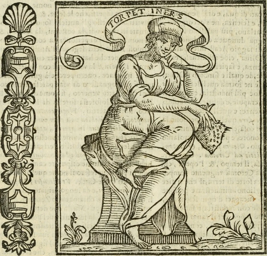 An illustration from Della nouissima Iconologia di Cesare Ripa Perugino Caualier de SS. Mauritio & Lazzaro : parte prima [-terza] : nella quale si descriuono diuerse imagini di virtu, vitij, affetti, passioni humane, arti, discipline, humori, elementi, corpi celesti, prouincie d'Italia, fiumi tutte parte del mondo, & altre infinite materie : opera utile ad oratori, predicatori, poeti, pittori, scultori, disegnatori, & ad'ogni studioso : per inuentar concetti, emblemi, ed'imprese, per diuisare qual si voglia apparato nutiale, funerale, trionsale : per rappresentar poemi drammatici, e per figurare co' suoi proprij simboli ciò che può cadere in pensiero humano : ampliata in quest' ultima editione non solo dallostesso auttore di trecento e cinquantadue imagini con molti discorsi pieni di varia eruditione & con molti indici copiosi, 1625, leaf 69