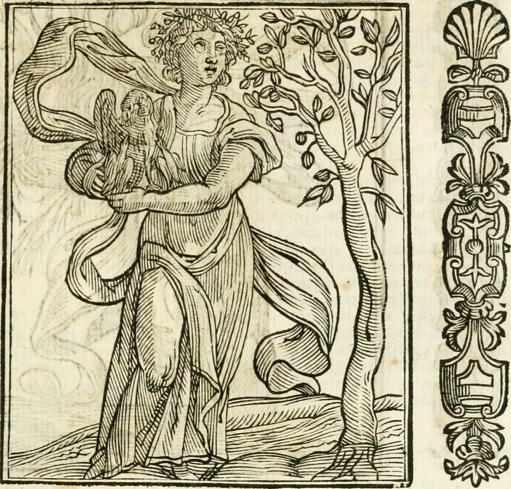 An illustration from Della novissima iconologia, 1624, leaf 144