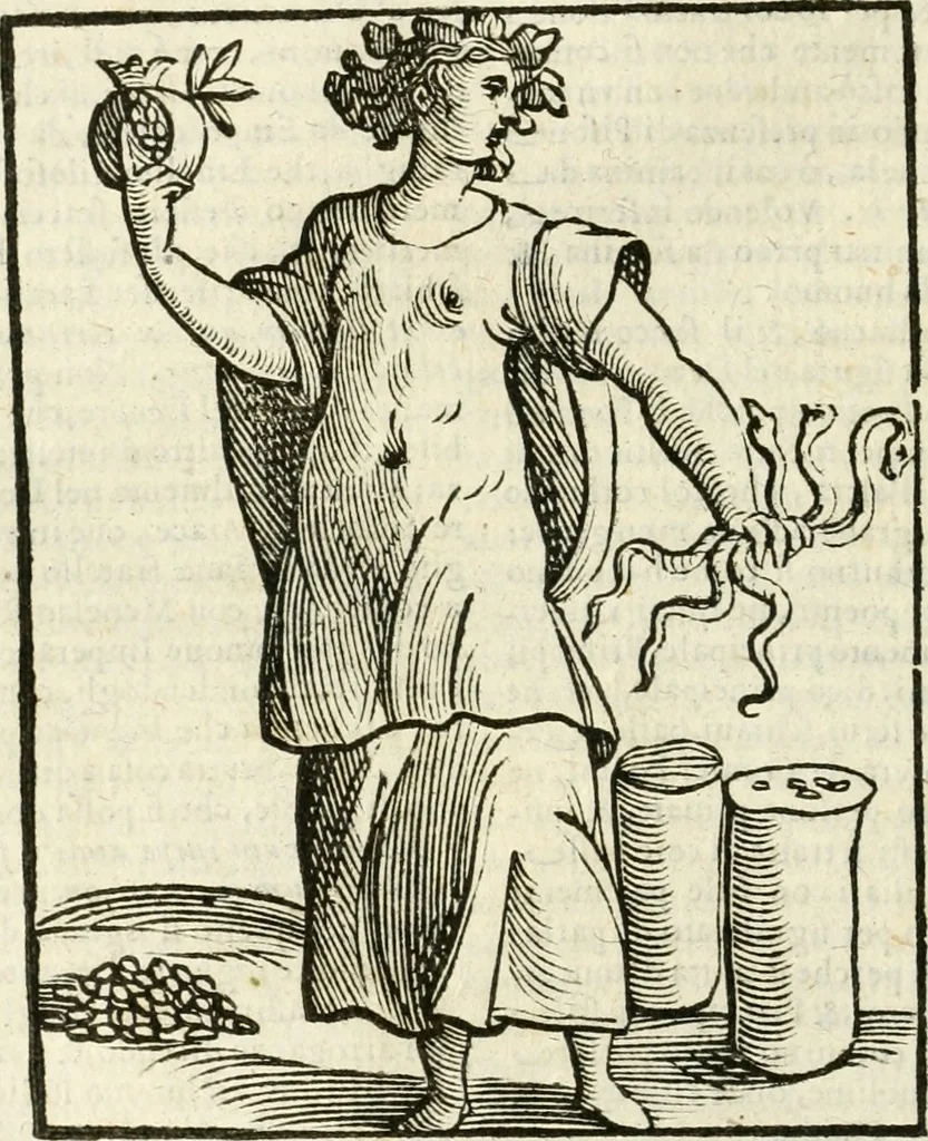 An illustration from Della novissima iconologia, 1624, leaf 225
