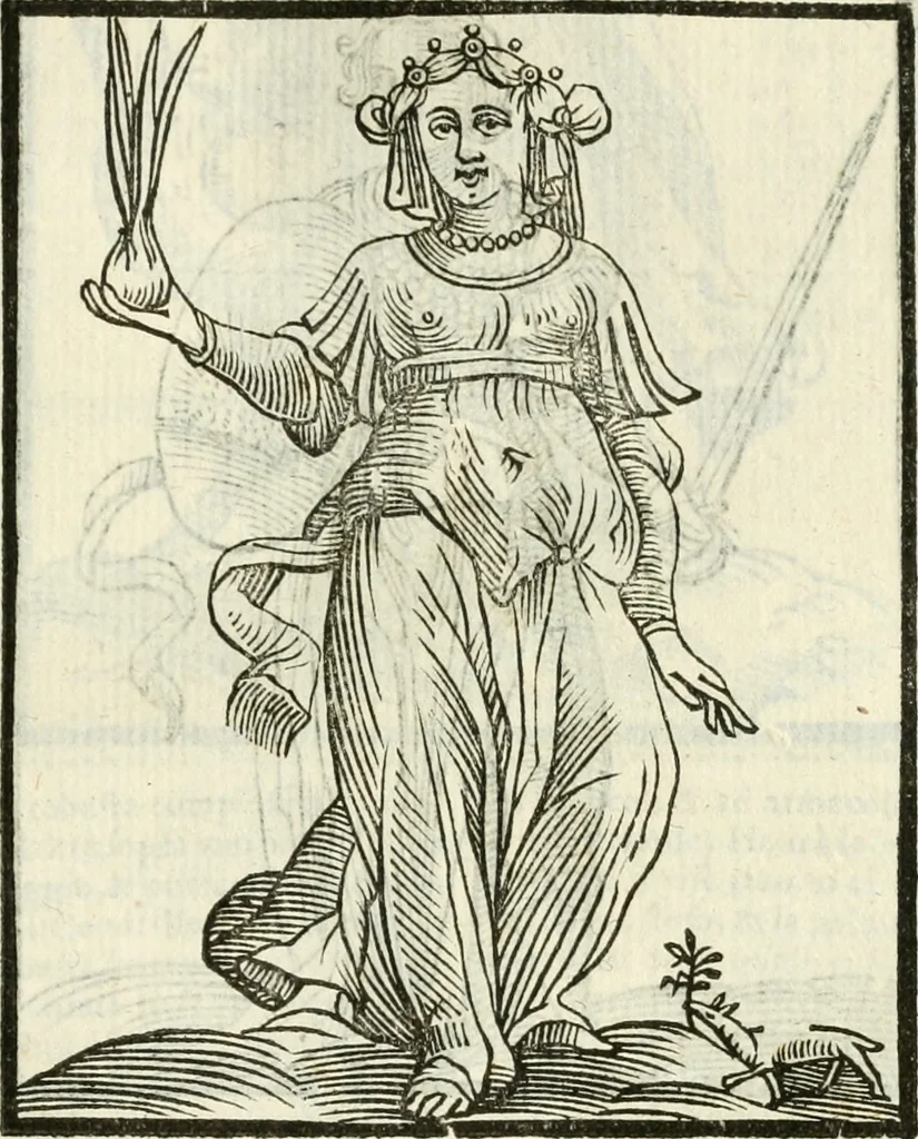An illustration from Della novissima iconologia, 1624, leaf 230