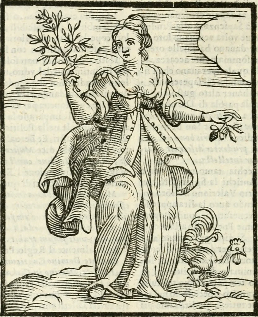 An illustration from Della novissima iconologia, 1624, leaf 239