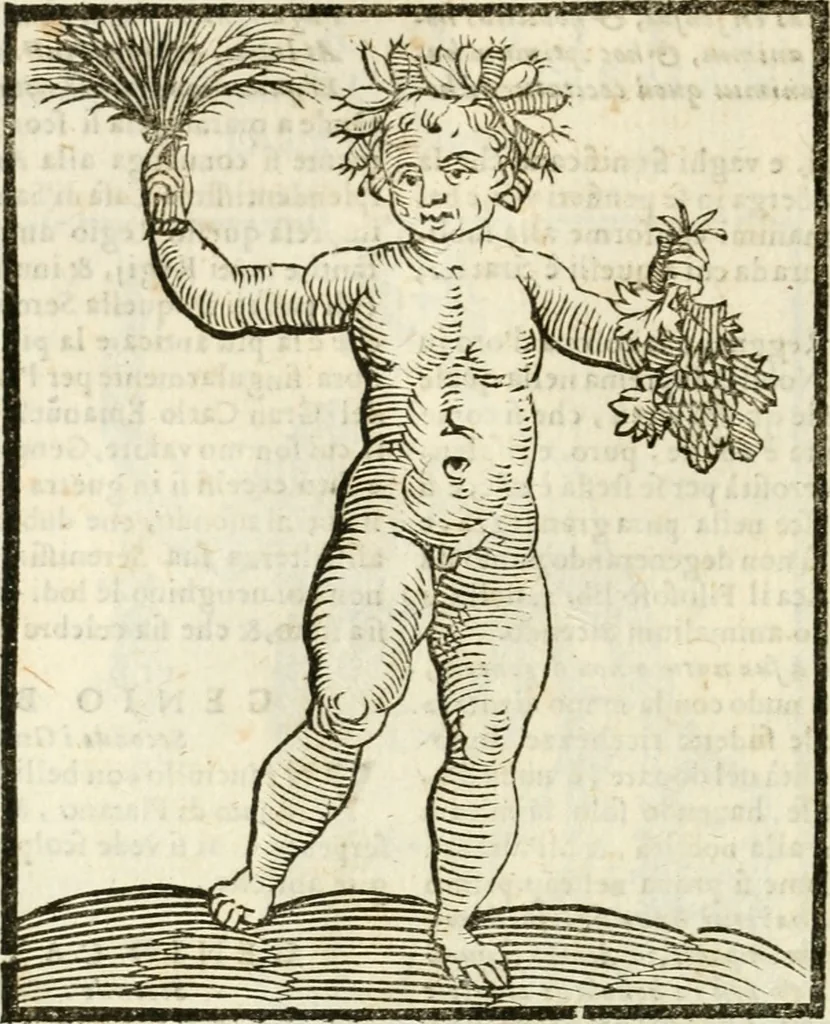 An illustration from Della novissima iconologia, 1624, leaf 339