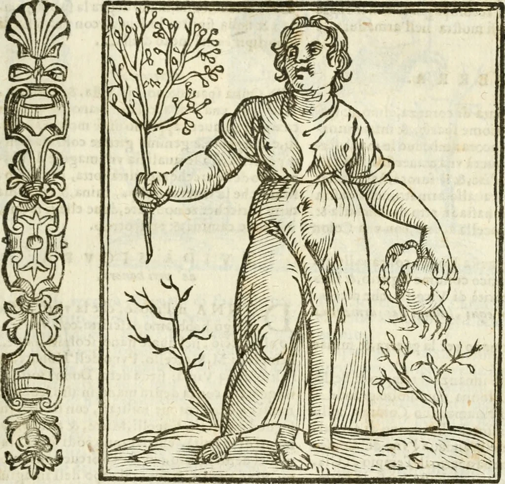 An illustration from Della novissima iconologia, 1624, leaf 354