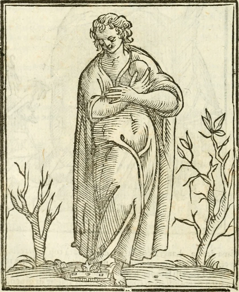An illustration from Della novissima iconologia, 1624, leaf 369