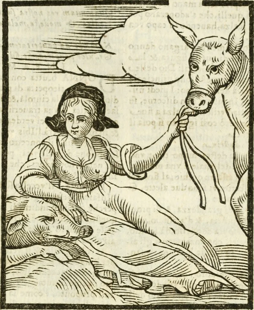 An illustration from Della novissima iconologia, 1624, leaf 382