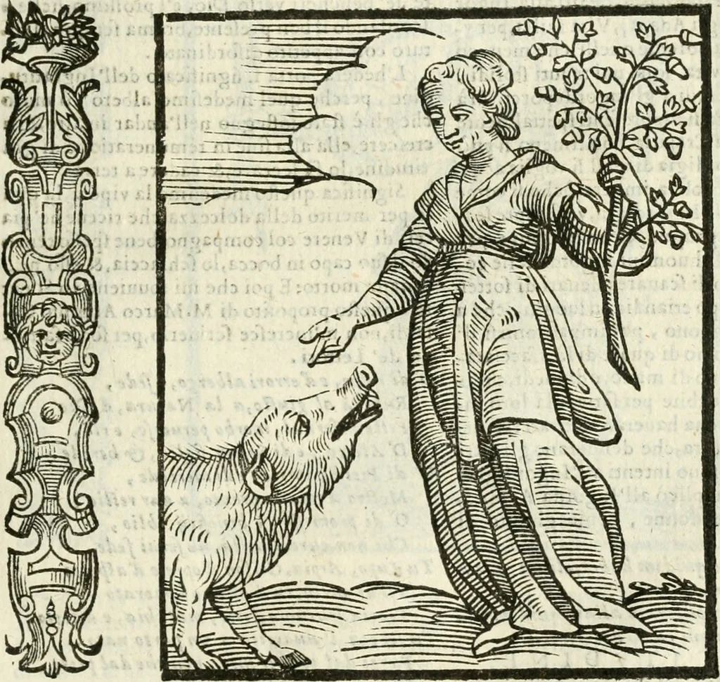 An illustration from Della novissima iconologia, 1624, leaf 388