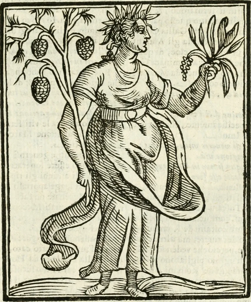 An illustration from Della novissima iconologia, 1624, leaf 436