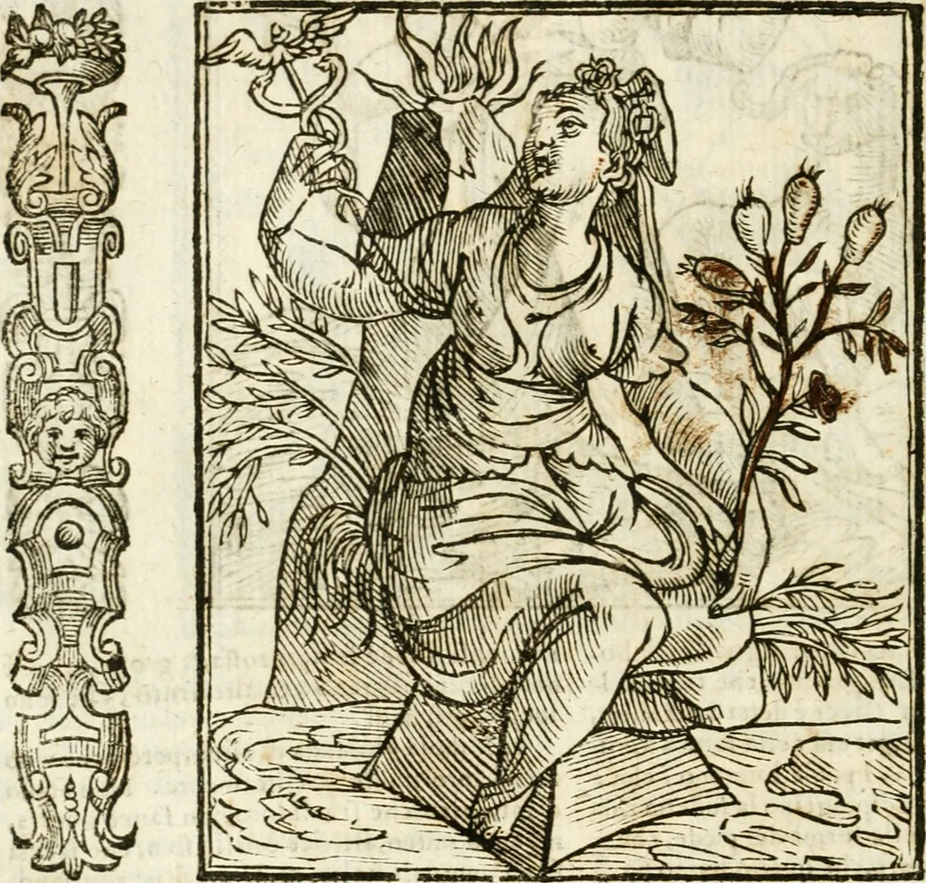 An illustration from Della novissima iconologia, 1624, leaf 447