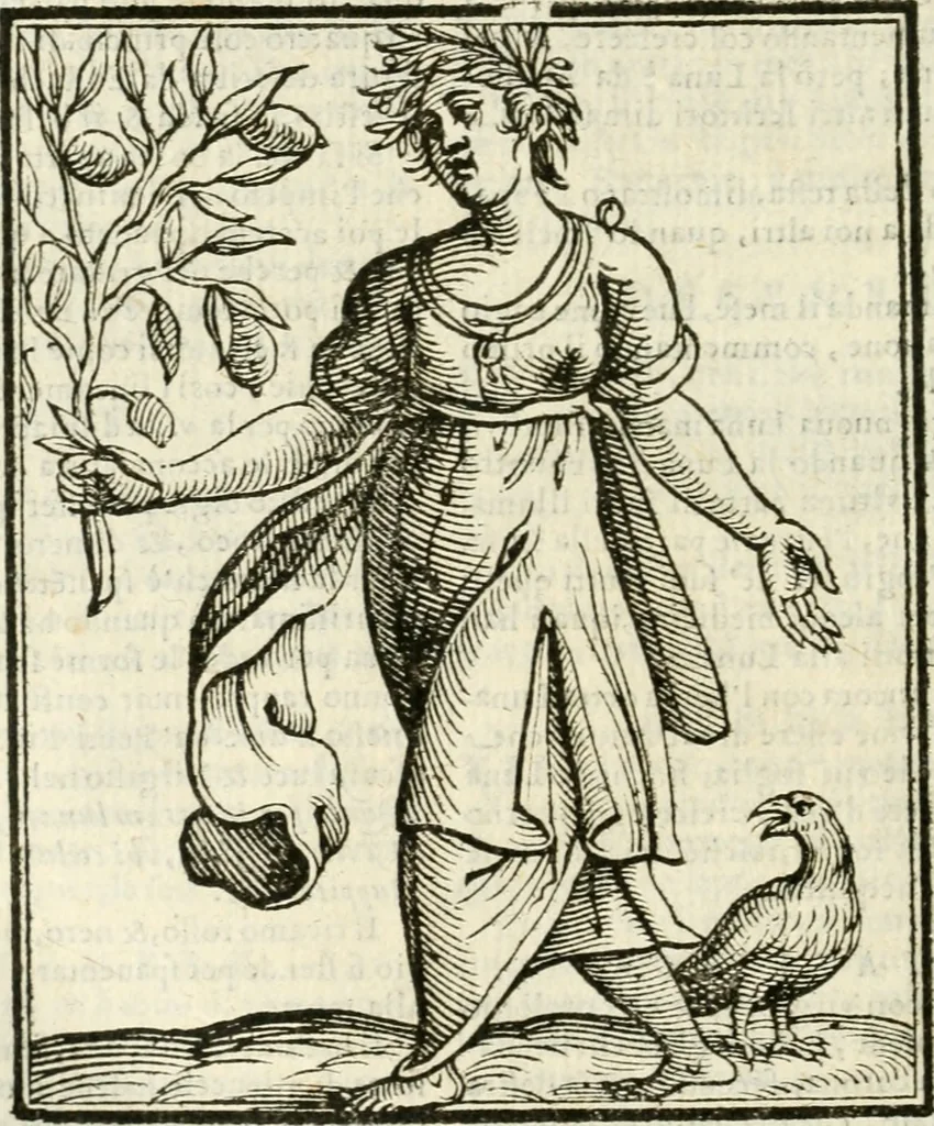An illustration from Della novissima iconologia, 1624, leaf 493