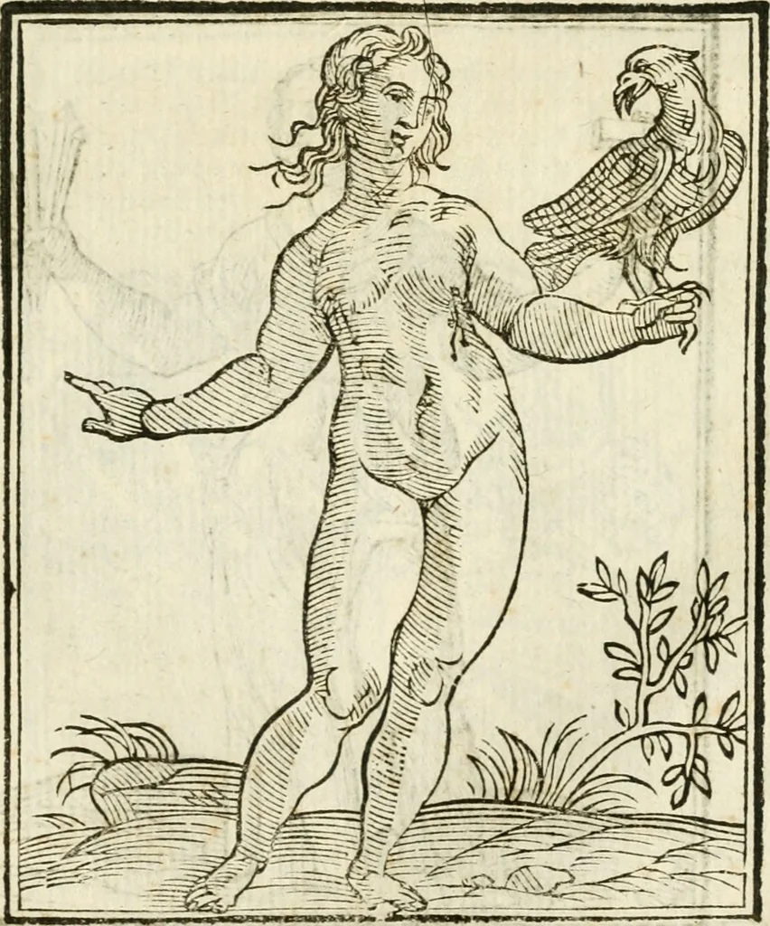 An illustration from Della novissima iconologia, 1624, leaf 524
