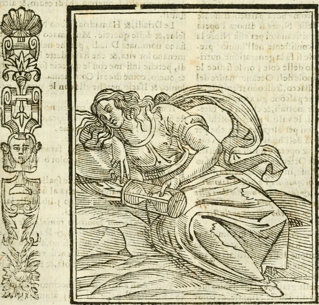 An illustration from Della novissima iconologia, 1624, leaf 526