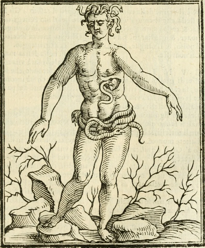 An illustration from Della novissima iconologia, 1624, leaf 568