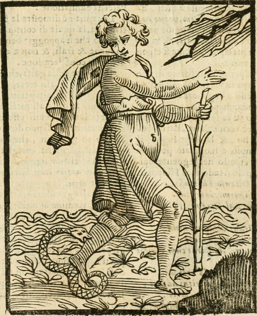 An illustration from Della novissima iconologia, 1624, leaf 572