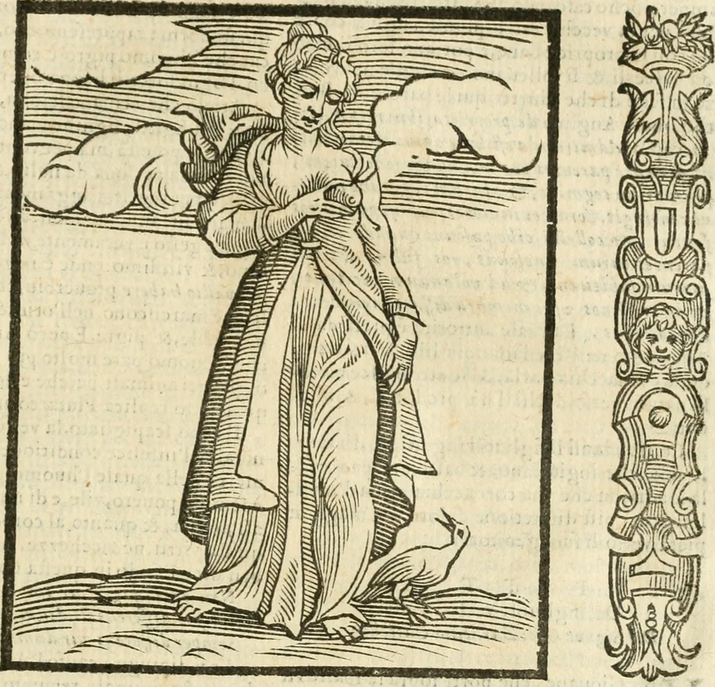 An illustration from Della novissima iconologia, 1624, leaf 582