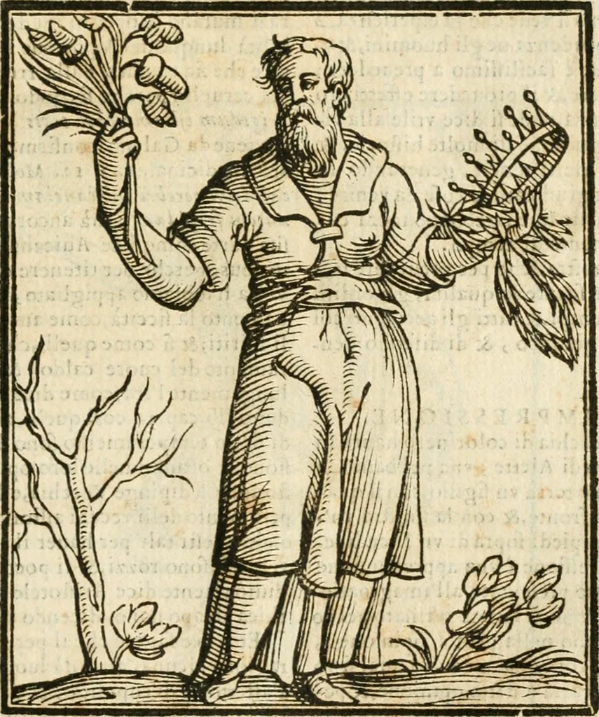 An illustration from Della novissima iconologia, 1624, leaf 594