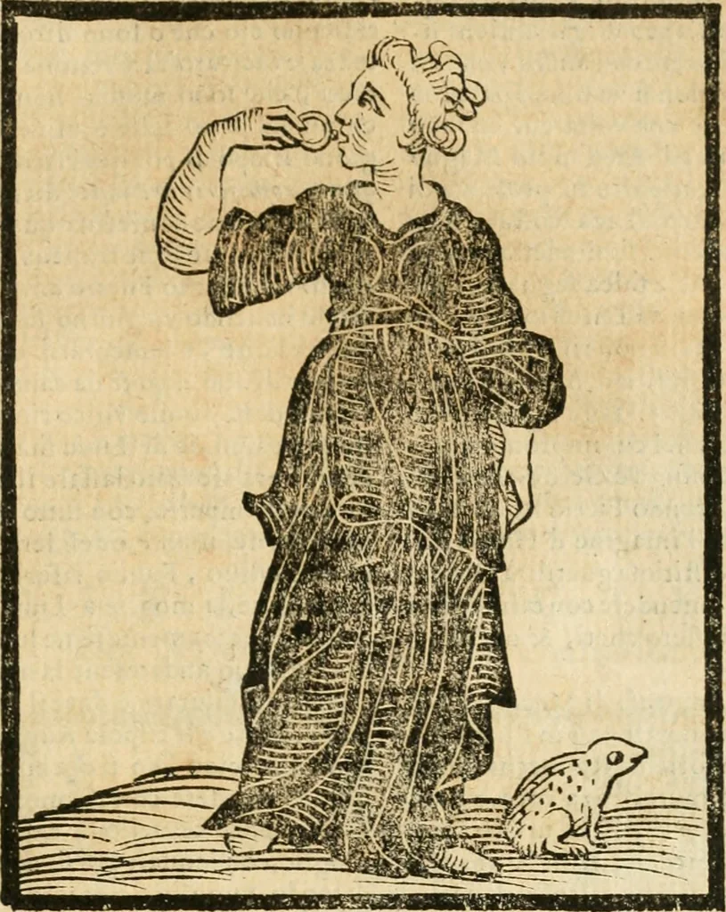 An illustration from Della novissima iconologia, 1624, leaf 664