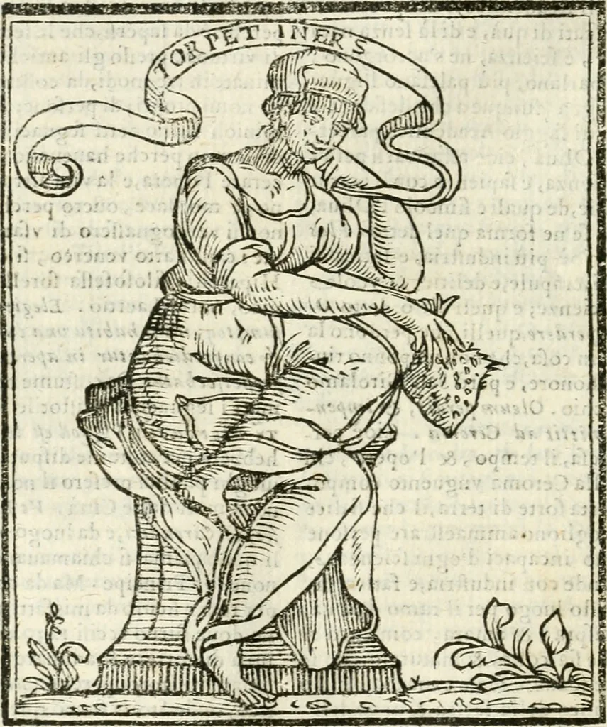An illustration from Della novissima iconologia, 1624, leaf 69
