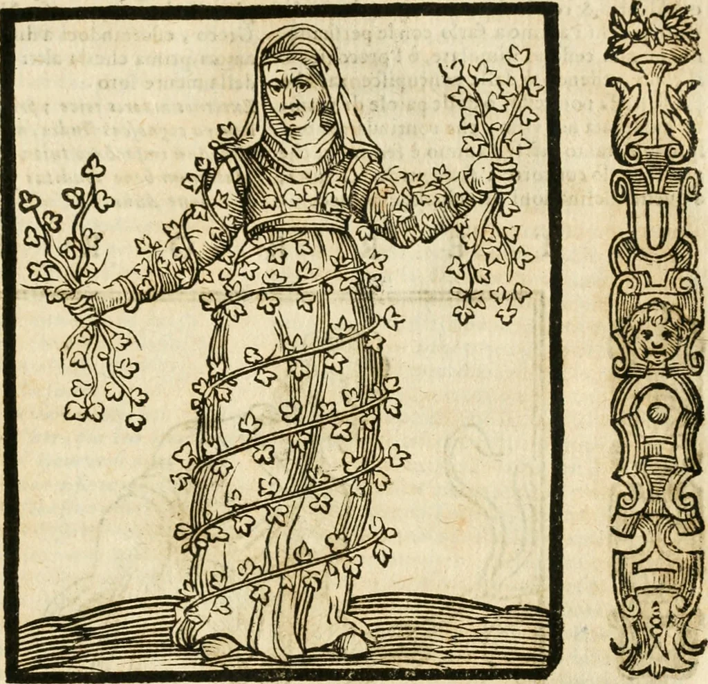 An illustration from Della novissima iconologia, 1624, leaf 732