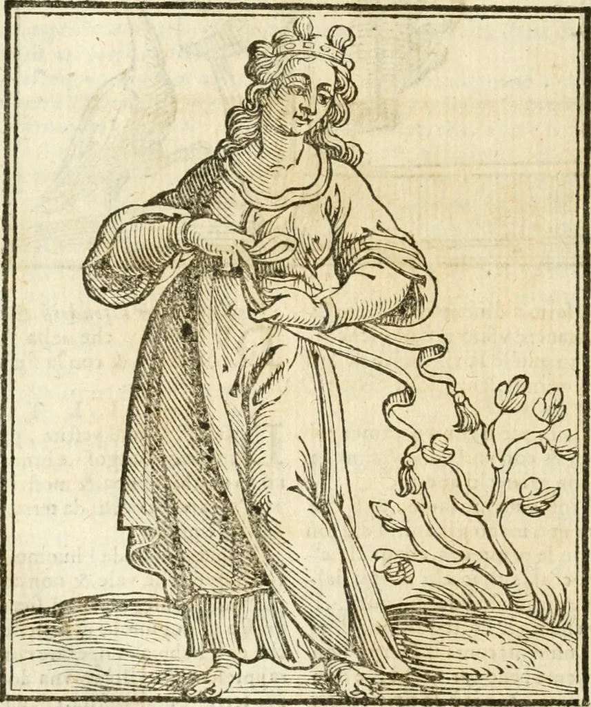 An illustration from Della novissima iconologia, 1624, leaf 785