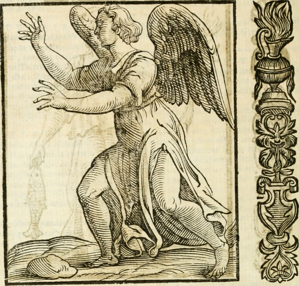 An illustration from Della novissima iconologia, 1624, leaf 801