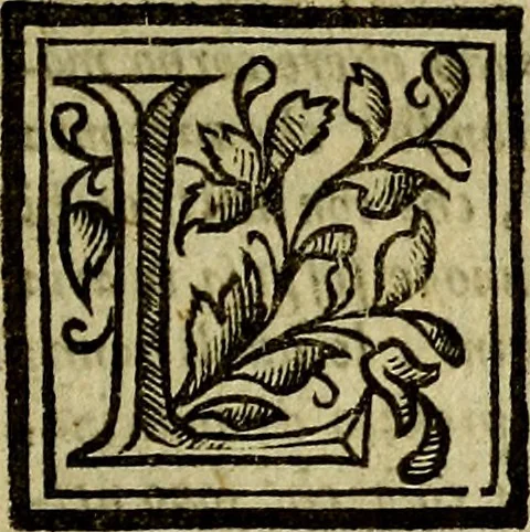 An illustration from Della novissima iconologia, 1625, leaf 14